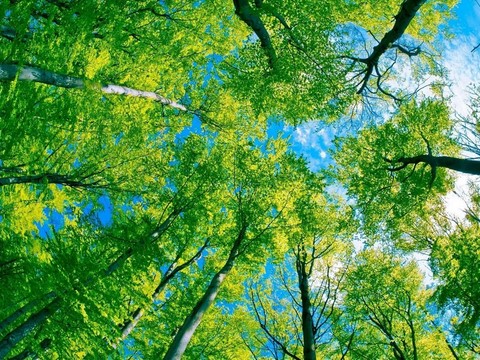 Naturopathie
